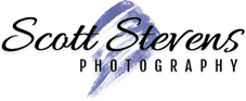 logo free img